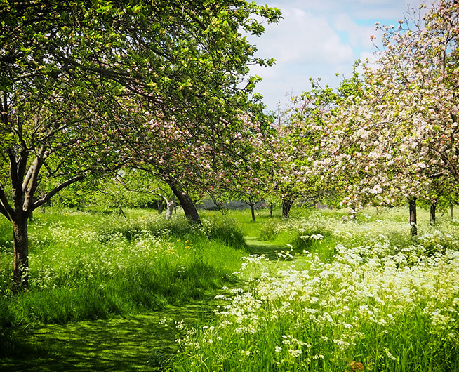 Green Infrastructure