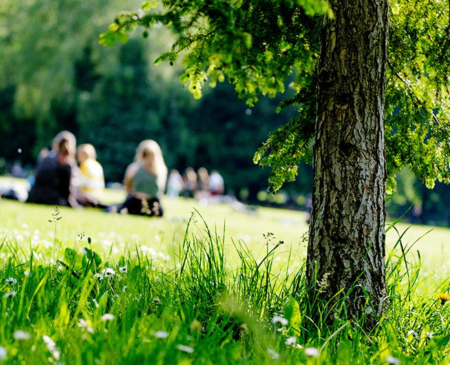 Key Public Open Spaces